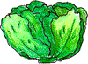 lettucee.gif