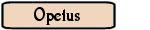 Opetus